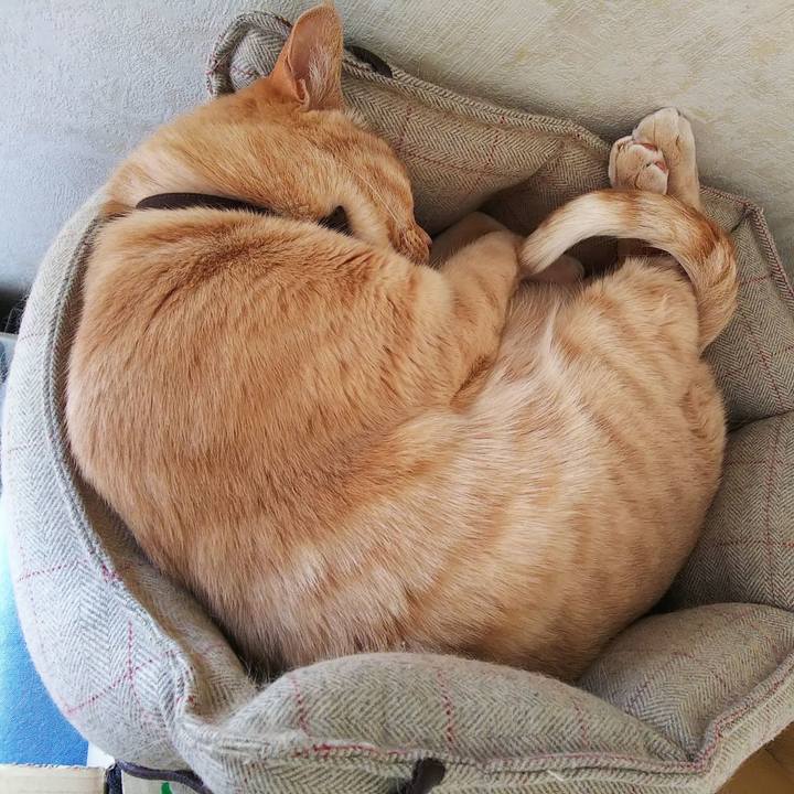 B48d5b6a 43b9 44dc 8ac8 a7ca6f415b8d 1643949166874