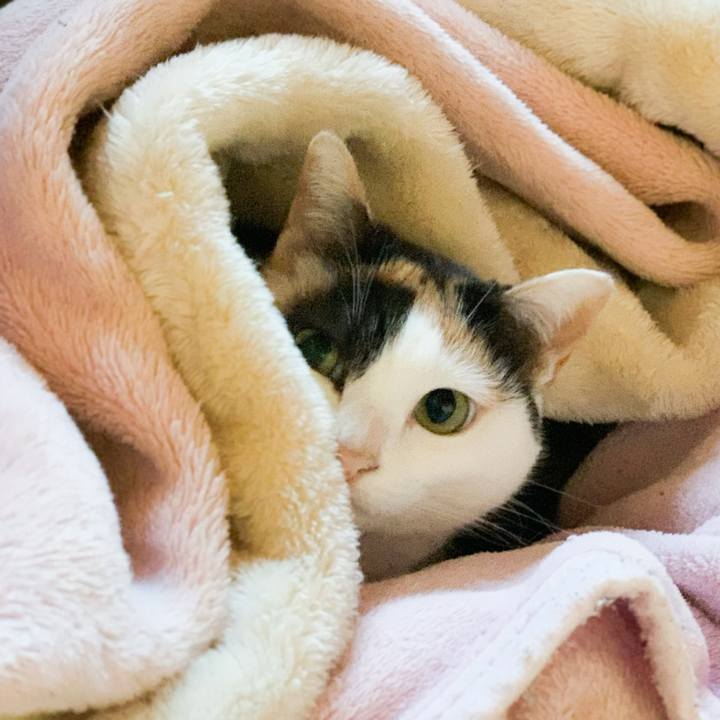 B48d612c 9594 4736 85be 6e3696ef9f31 1578184984229