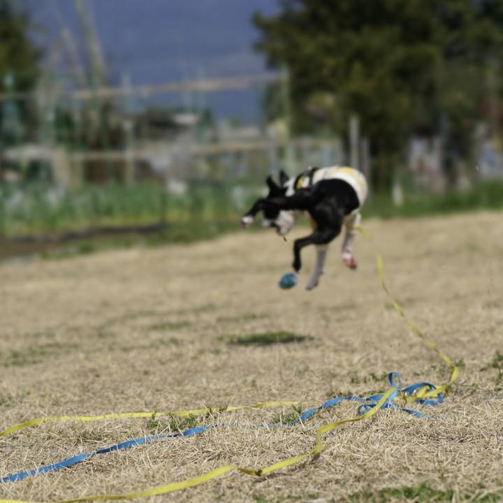 B48da6c9 2d46 44c3 83be 21d50b4a3011 1521350969362