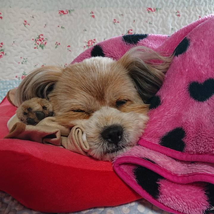 B48dcfa9 1906 47fa a4cd b780e5110eb6 1615864794418