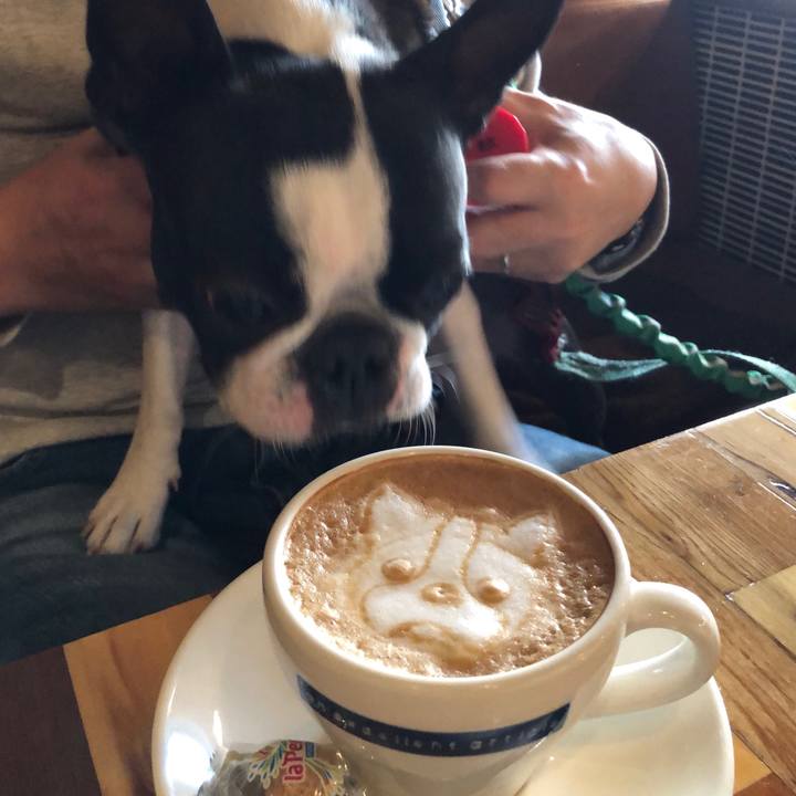 B48dd58b 14b5 45ec 81de 2de0175244de 1543134261886