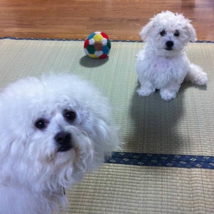 B48dfad5 d42f 4150 85d3 292480d889a5 1729382208872