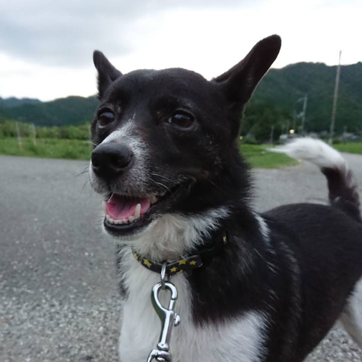 B48e16ca fb6c 42a0 a515 1b2bb08b0429 1533981995262