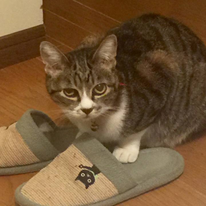 B48e20f1 db8b 4fd2 86aa 4bf4835c9e6e 1559405302235