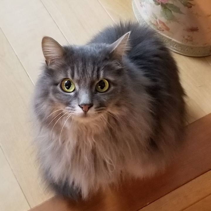 B48e2c10 465f 4b95 8913 3a77696a291f 1581545458069