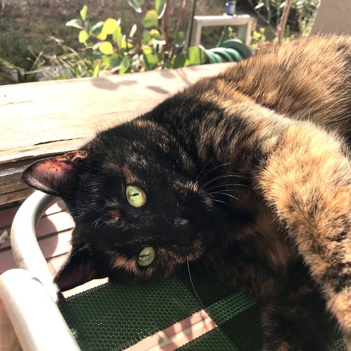 B48e52b3 5a03 431e 9bfd 9447097ed8c9 1607829232849