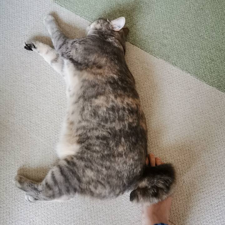 B48e5456 ccbd 4d69 9d62 2f18d4f6046b 1631763638170