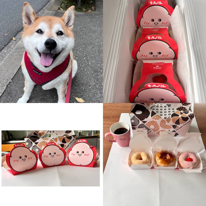 B48e6da0 099f 4a69 9471 f068053fc0f7 1780888063334