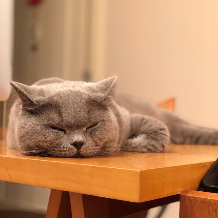 B48e9343 6a0f 4264 9c3b a8fd82a67a1e 1514431925882