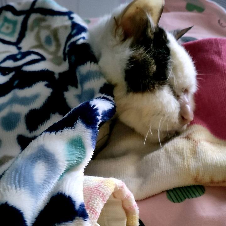 B48e9c37 350b 4b32 b2ce 168e545025e9 1618103064513