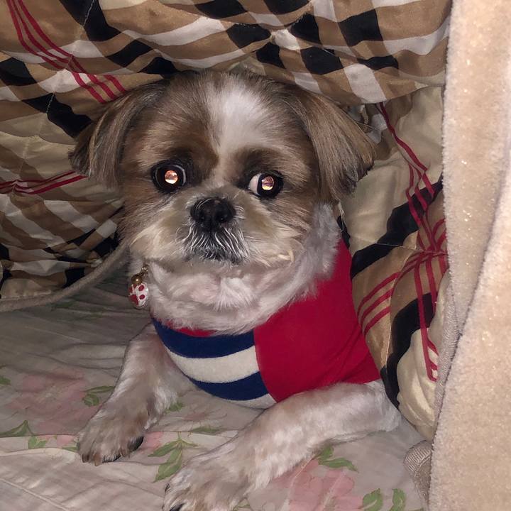 B48ef635 4fbc 4e45 9c13 8cadeae2f26e 1584237282270