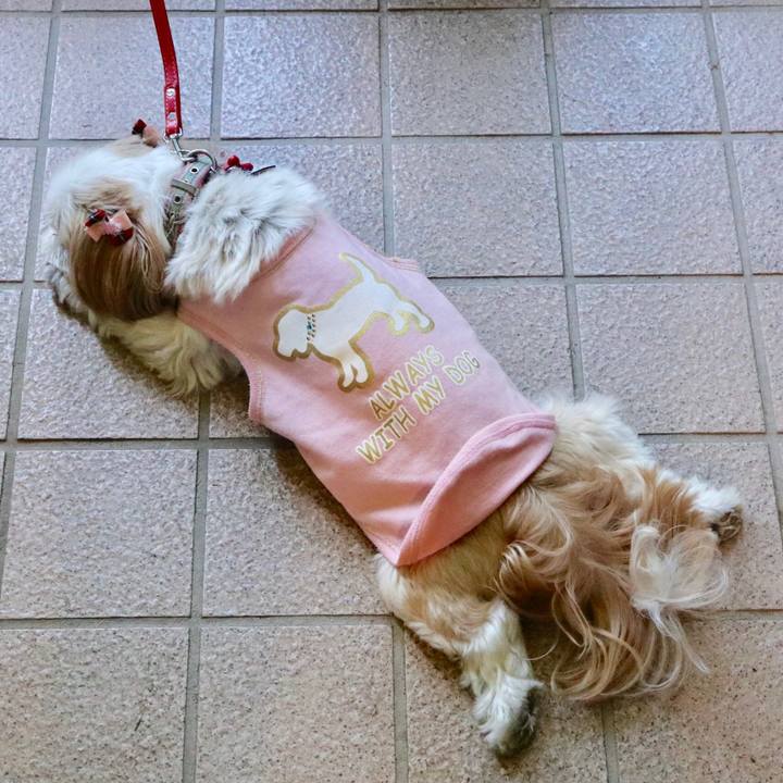 B48ef737 d9a8 4683 8dce a35a0c31206d 1525186375430