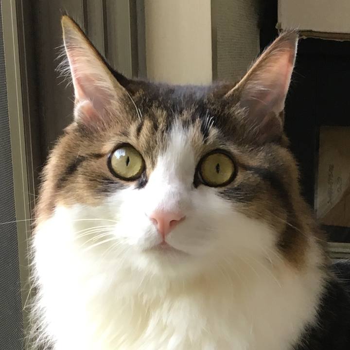 B48f47e4 97e8 4eb3 ba77 36e3b6bb3bc6 1542197215111