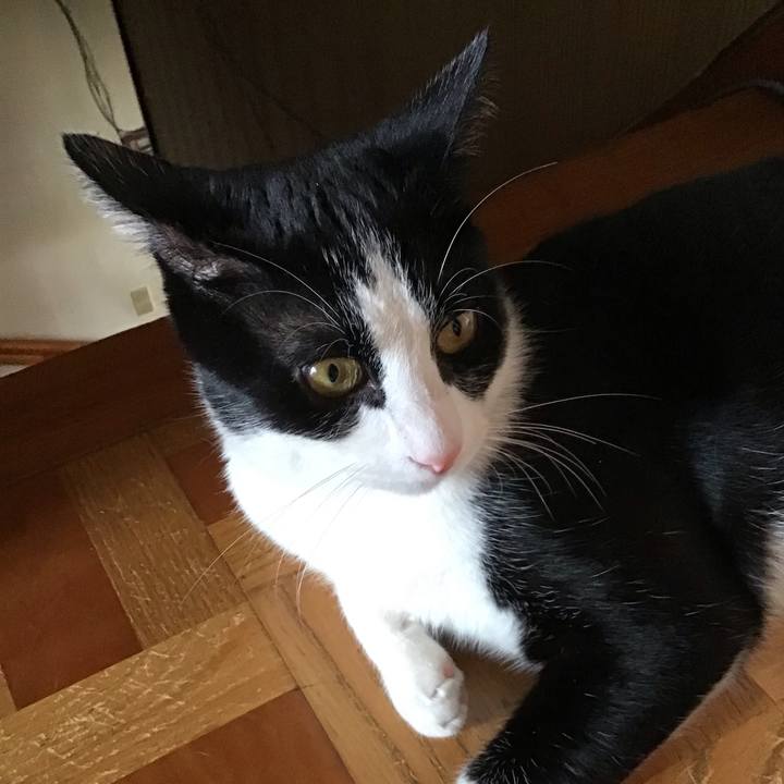 B48f5494 a0bc 496a a525 99ce0beda0c9 1658409586751