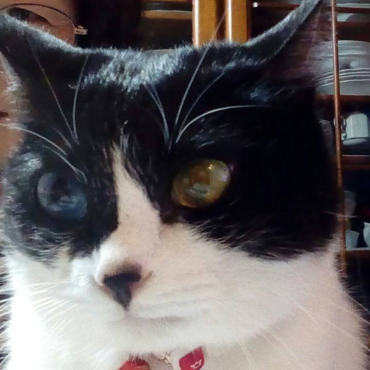 B48f8985 addb 4a62 a62e da24bcfaa636 1520502347215