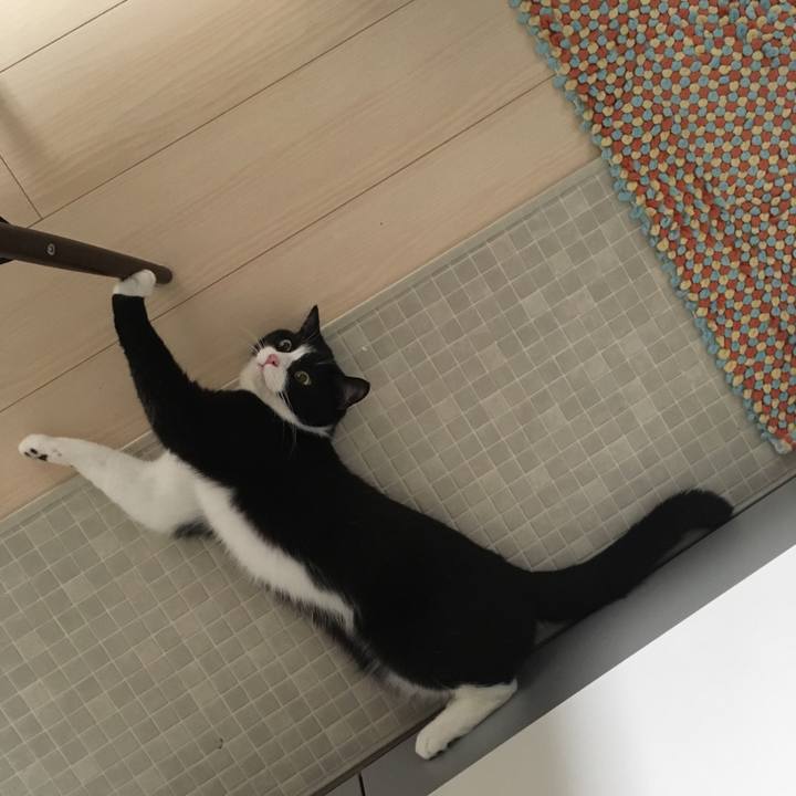 B48f985d 2941 4034 82be 26a738643cfe 1563446881076