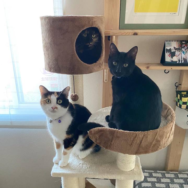 B48fe5fd c1f8 4022 8e79 db69a50cc129 1701520798079