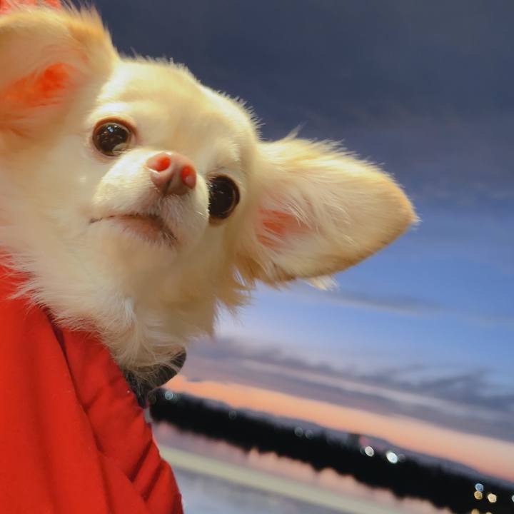 B48fe8de 5742 4f31 a95b 3834be257c8e 1762071289435