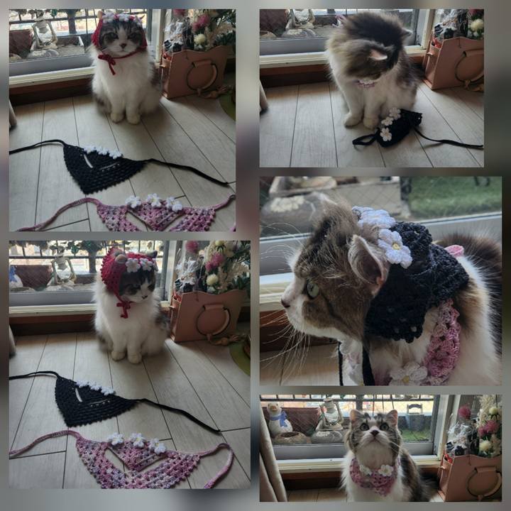 B48ff781 36b3 4db8 86da 0245d03da46e 1774446858465