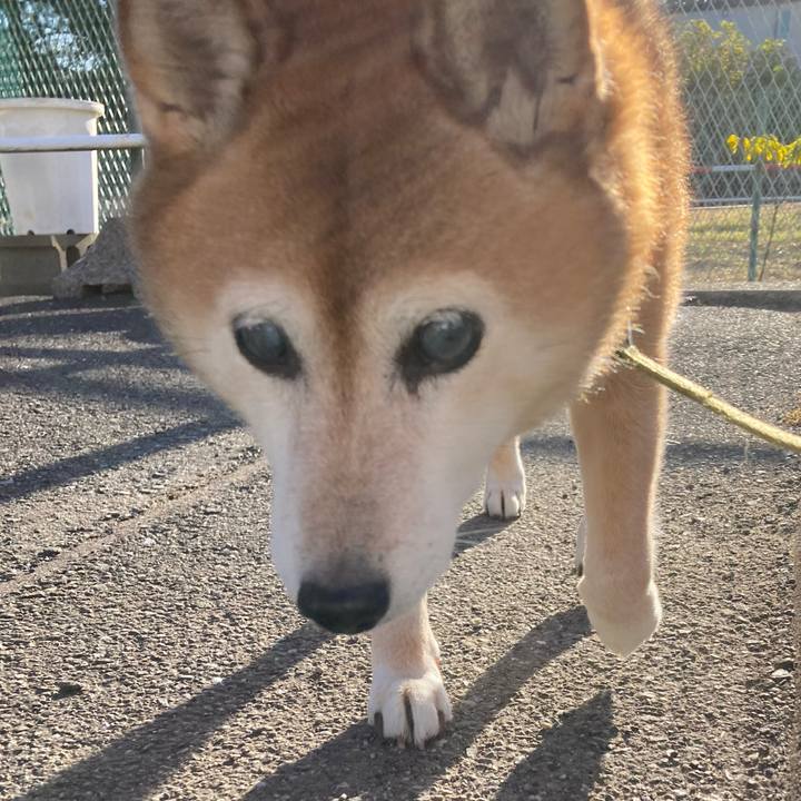 B48ff7d1 d45d 4d17 b8fe 1b40def6a30c 1701994270274