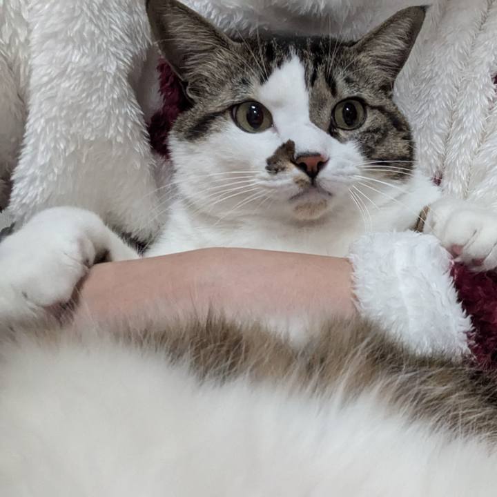 B4900512 e5df 4b4c 816c d339be51d578 1735649485746