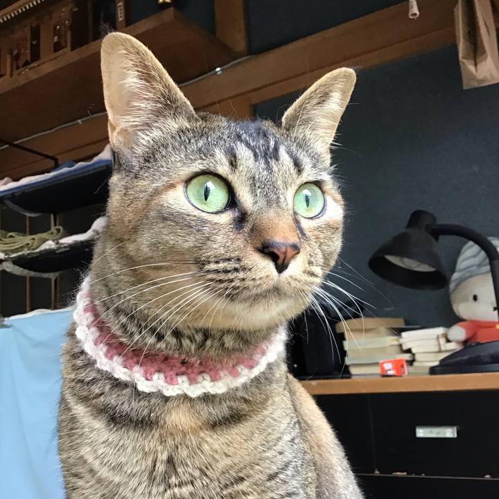 B4901fb1 9fb9 4b3c 84cf 23edc65aabee 1655529620783