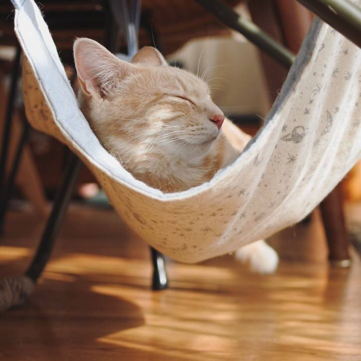 B4904149 cef0 479c b930 a906f4ac6912 1557737112254