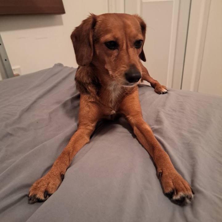 B4904429 151e 4fe7 acf1 a73cb0be4596 1765766038677