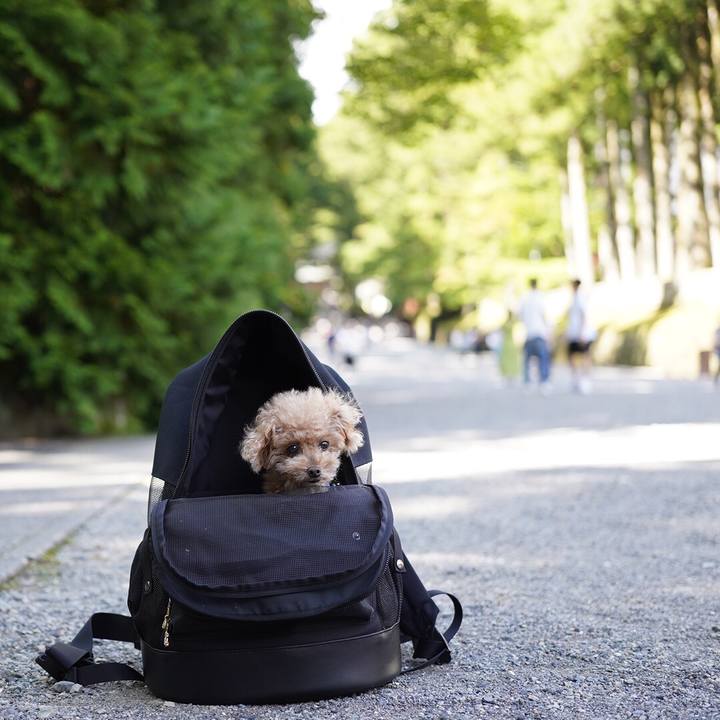 B4907b7c 955b 4f11 a8e2 97fc16bfe941 1665299657625