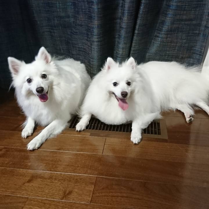 B4908da8 5455 4451 9452 9fc678f1f025 1594462760617