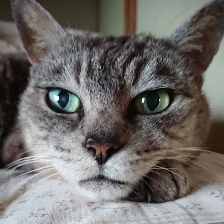 B49098b8 1d98 4b7f 82b0 76486c650f6b 1565603197193