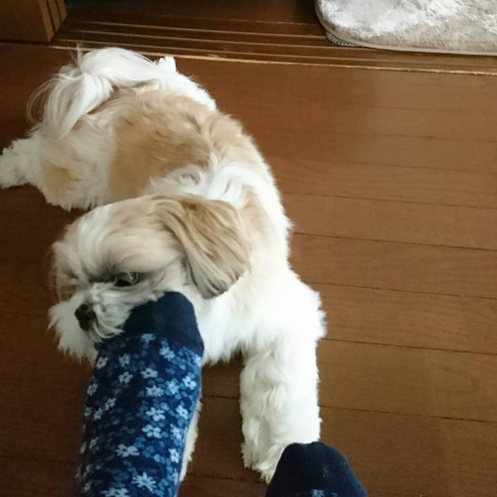 B490af3d e18a 4bb7 b0ef b0d172b618d1 1523751247744