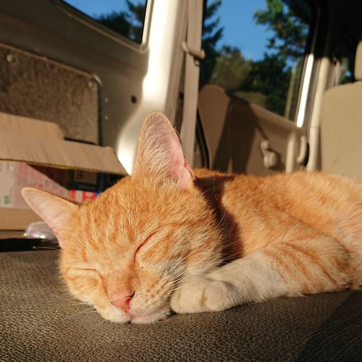 B490c027 6aa2 4d38 bf31 fe35dc7cb5fe 1564605854457