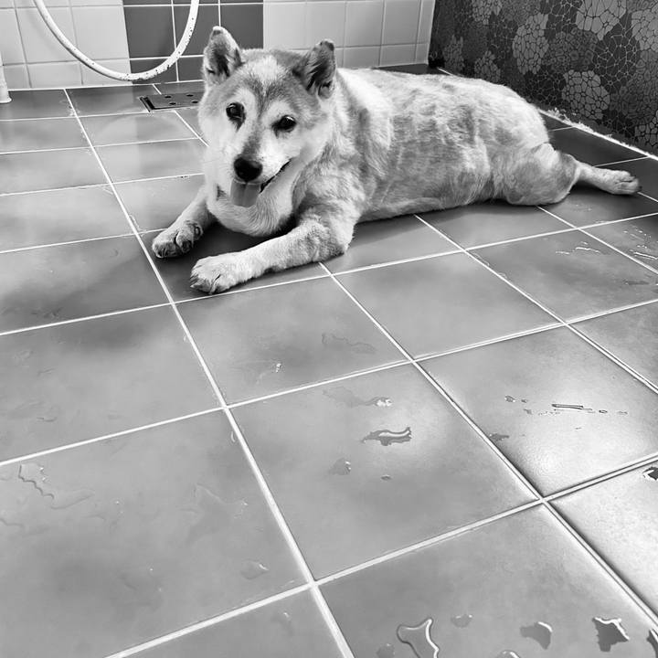 B490f4cb e536 4f4a b375 b12fee53cbb6 1756076153135