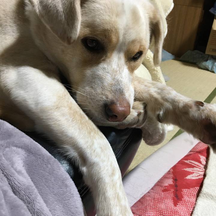 B4910f02 ce23 4136 aef2 29ae8b055be5 1515769688497