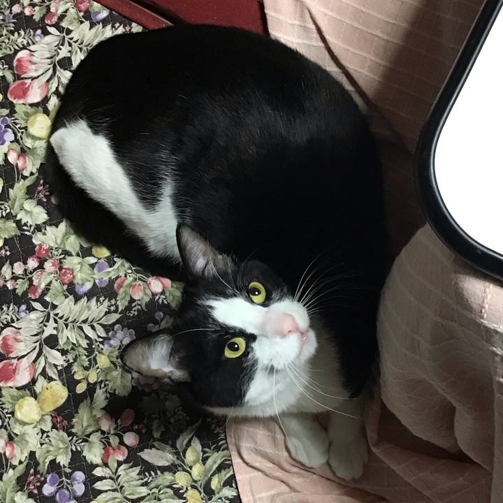 B4912349 3e4d 4138 b167 d2ae0ff9dfc9 1681822007503