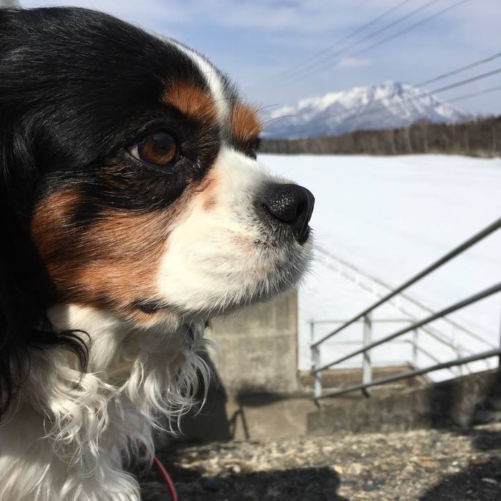 B491357d 5f22 4a2b b04d 0f593701ef90 1521108386622