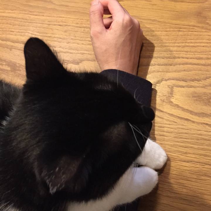 B4913e98 dea1 4c8c a311 8d1122304655 1539334973113