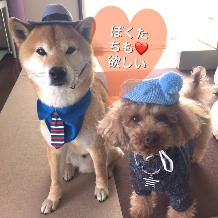 B4914268 0ace 4dfc a6ea fa4350380e85 1518574974509