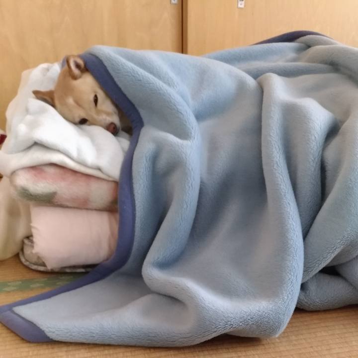 B4914e6e b3d8 43e8 a38d 829b979d7a75 1615080474715