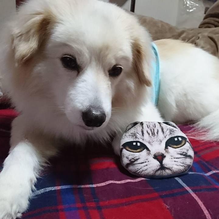 B491544f 805a 4733 9e8c a9089db6b21f 1518490999765