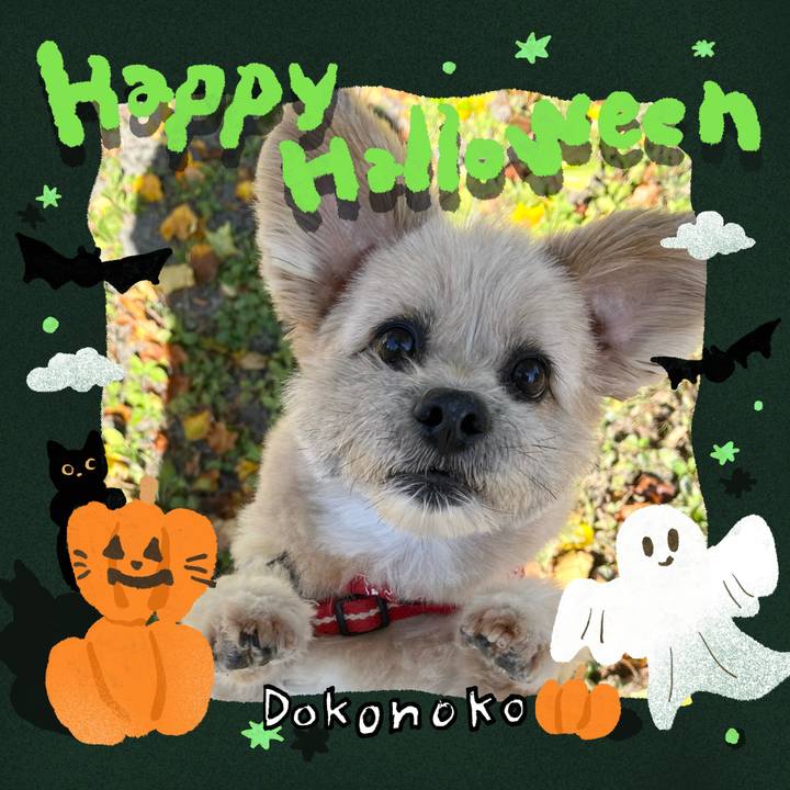 B49168c3 2af6 4dfa a028 bdd6959f5337 1729163881090