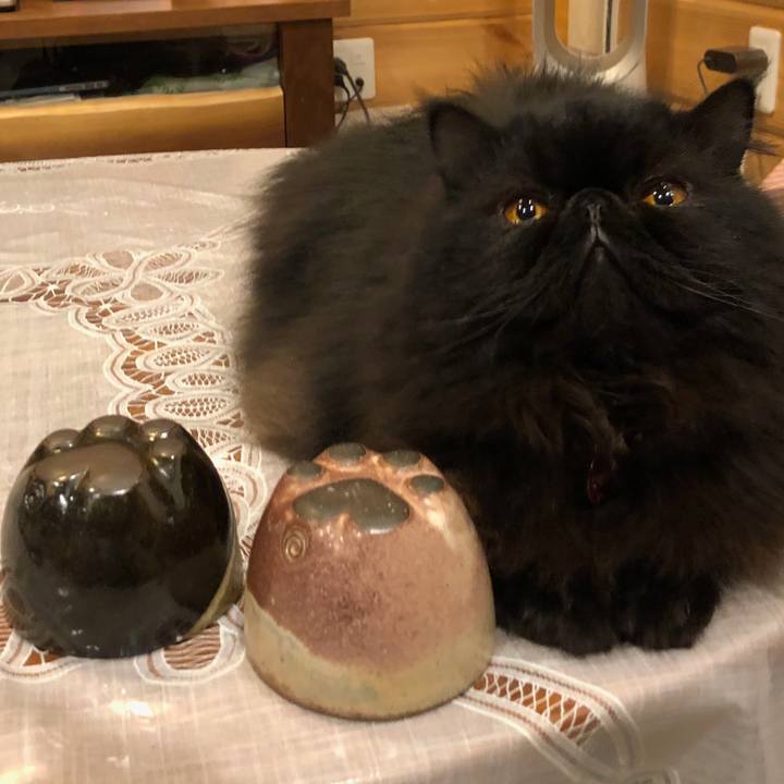 B4917105 86de 4fcc 99e7 a379c44b8dc1 1551447706287