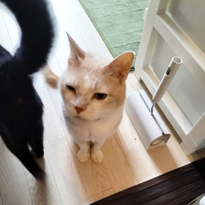 B491a67d 3692 4a72 b0ab 0276f7f00489 1665182099328