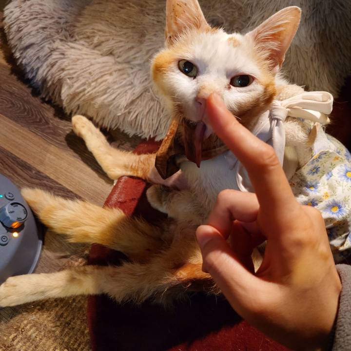 B491b39d e75a 4c03 8097 89838f96fa22 1763630089578