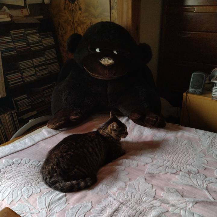 B491bf6a 0312 4a6b a178 a0c469b7756f 1689808637044