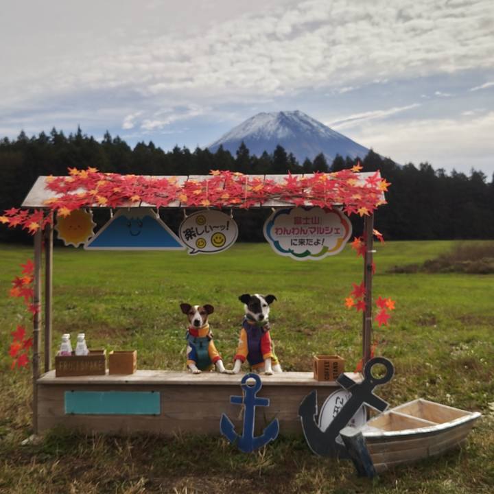 B4921354 d51e 4537 8395 dd984a7c8b0c 1762044158112