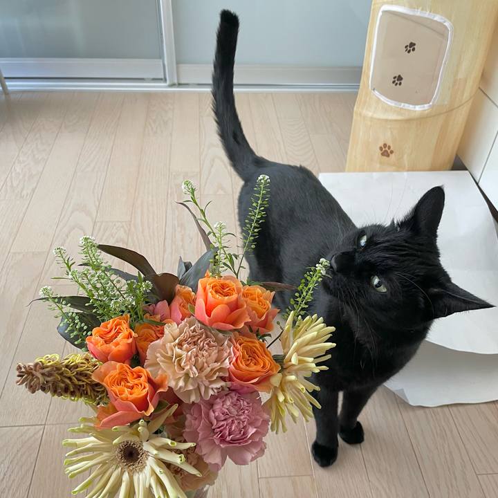 B492323c ff27 4c85 80b8 be74dfde0931 1672238859355