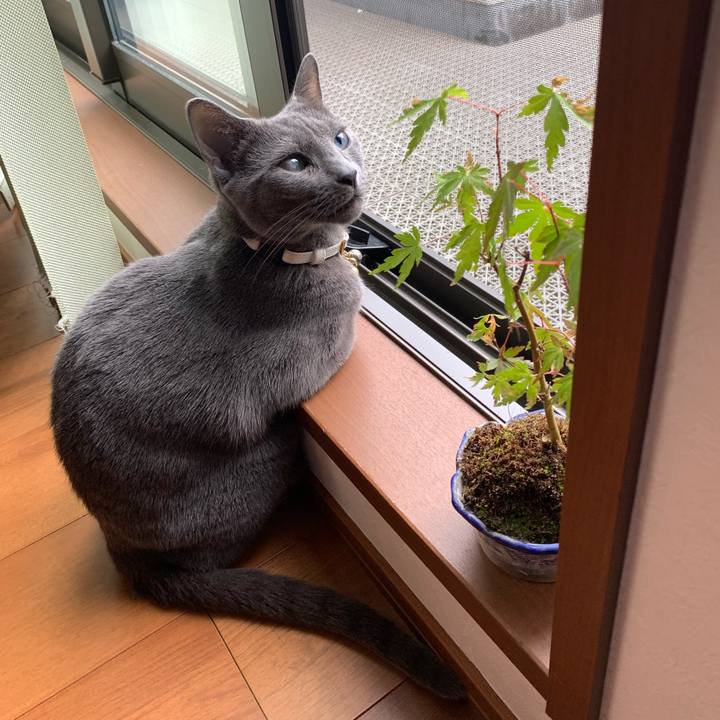 B492381a 3044 4883 92c6 e560c302784b 1653030341805