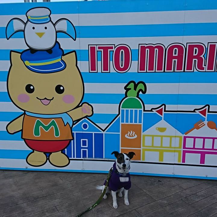 B49256b3 4830 4a22 ae41 47246629be1f 1518938412002